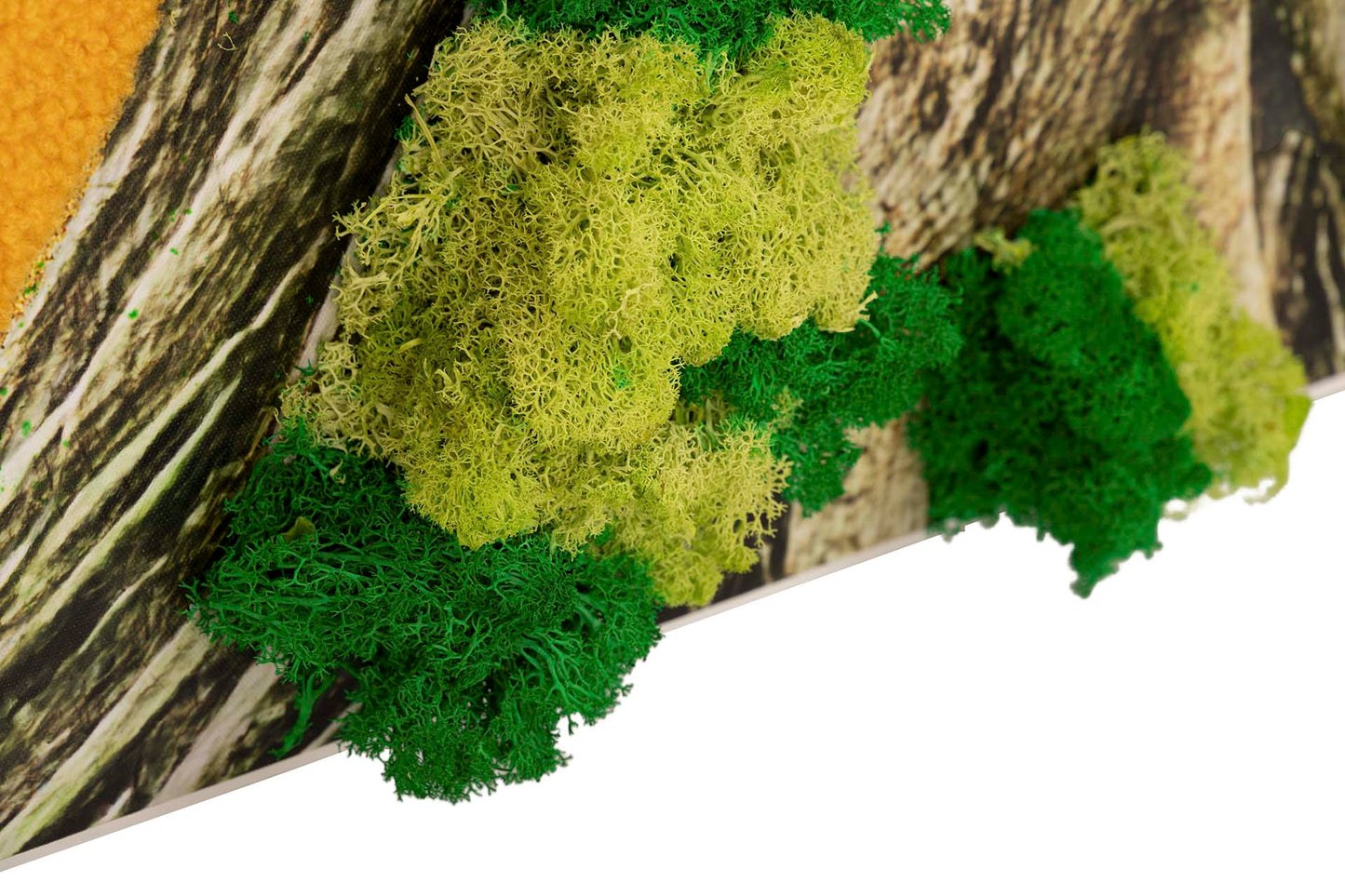 Quadro Mãe Natureza