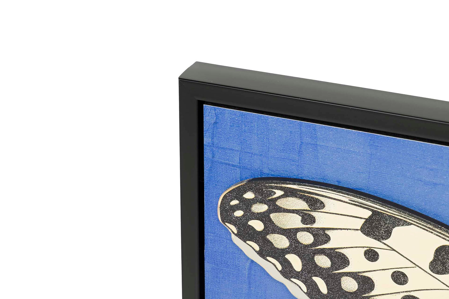 Quadro Fusão de Asas